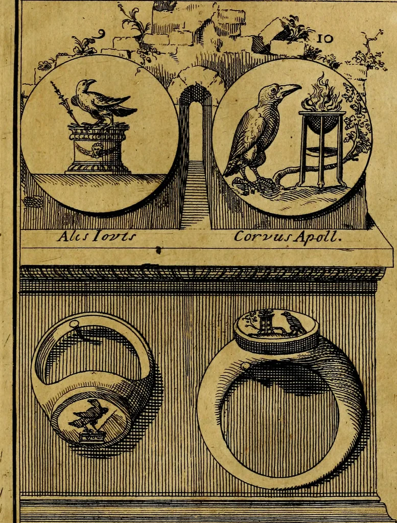 An illustration from Dactyliothecae, seu Annulorum sigillarium quorum priscos tam Graecos quam Romanos usus, ex ferro, aere, argento & auro promptuarii ... Collectis aliunde & ineditis & editis annulorum figuris auctior;, 1695, leaf 14