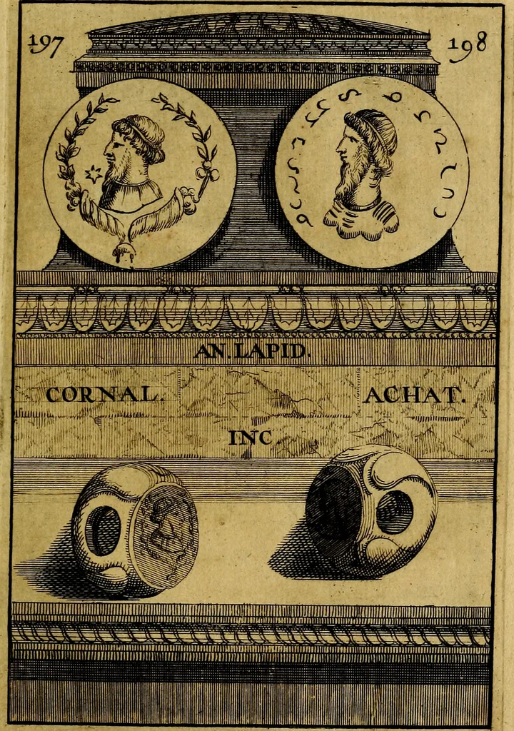 An illustration from Dactyliothecae, seu Annulorum sigillarium quorum priscos tam Graecos quam Romanos usus, ex ferro, aere, argento & auro promptuarii ... Collectis aliunde & ineditis & editis annulorum figuris auctior;, 1695, leaf 208