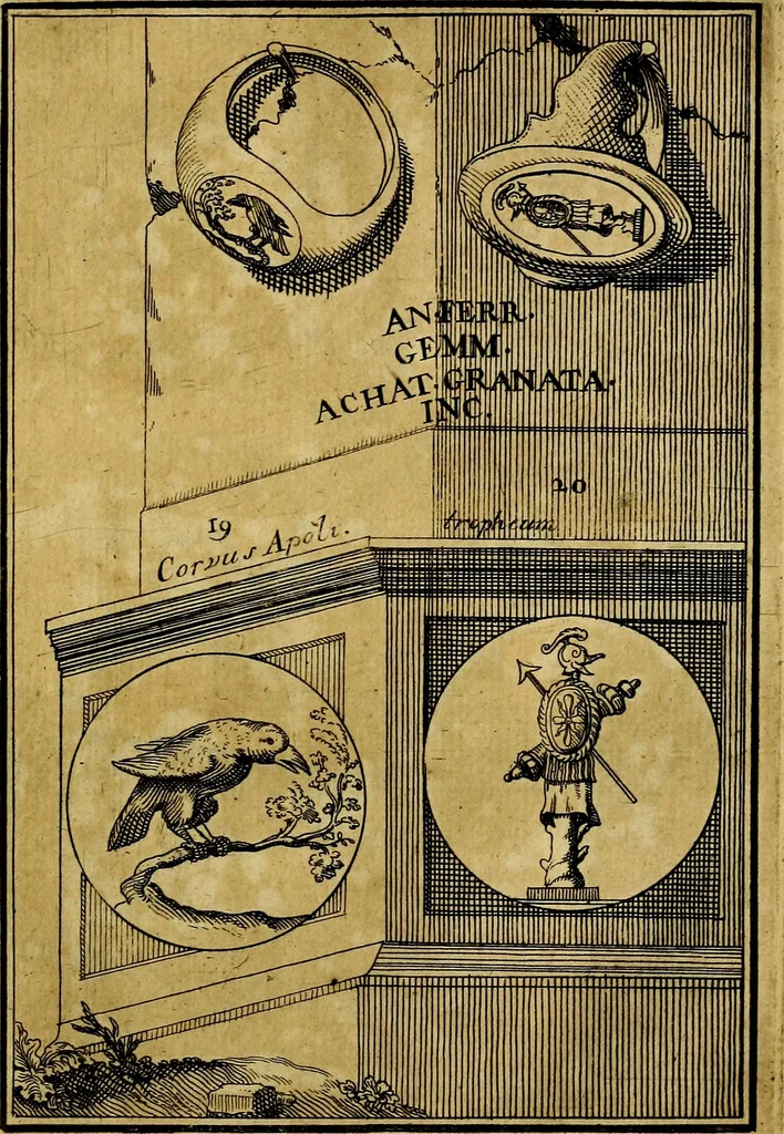 An illustration from Dactyliothecae, seu Annulorum sigillarium quorum priscos tam Graecos quam Romanos usus, ex ferro, aere, argento & auro promptuarii ... Collectis aliunde & ineditis & editis annulorum figuris auctior;, 1695, leaf 24