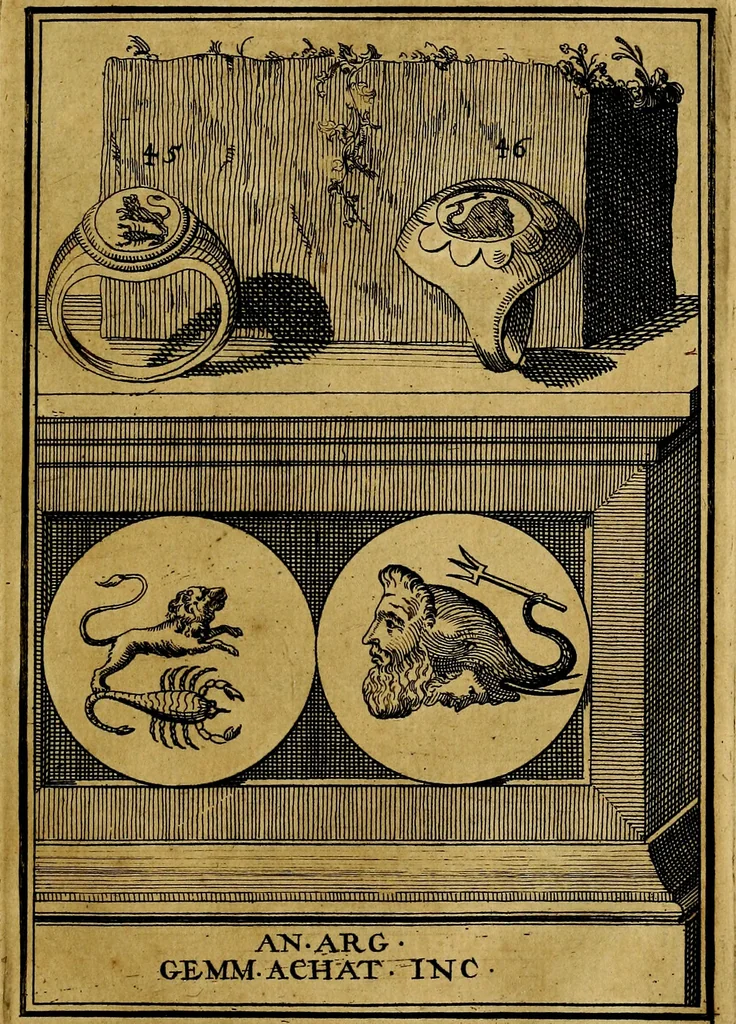 An illustration from Dactyliothecae, seu Annulorum sigillarium quorum priscos tam Graecos quam Romanos usus, ex ferro, aere, argento & auro promptuarii ... Collectis aliunde & ineditis & editis annulorum figuris auctior;, 1695, leaf 50