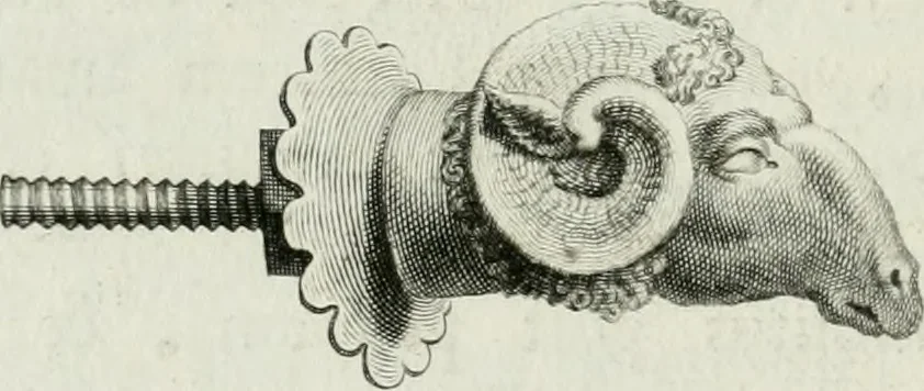 An illustration from Dactyliotheca Smithiana, 1767, leaf 367
