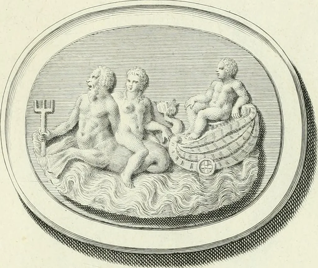 An illustration from Dactyliotheca Smithiana, 1767, leaf 446