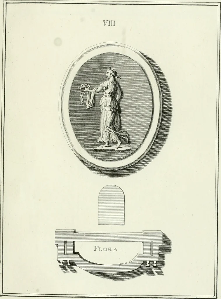 An illustration from Dactyliotheca Smithiana, 1767, leaf 450
