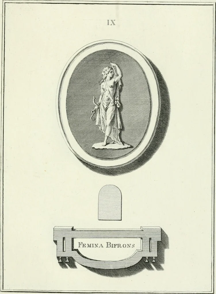 An illustration from Dactyliotheca Smithiana, 1767, leaf 452