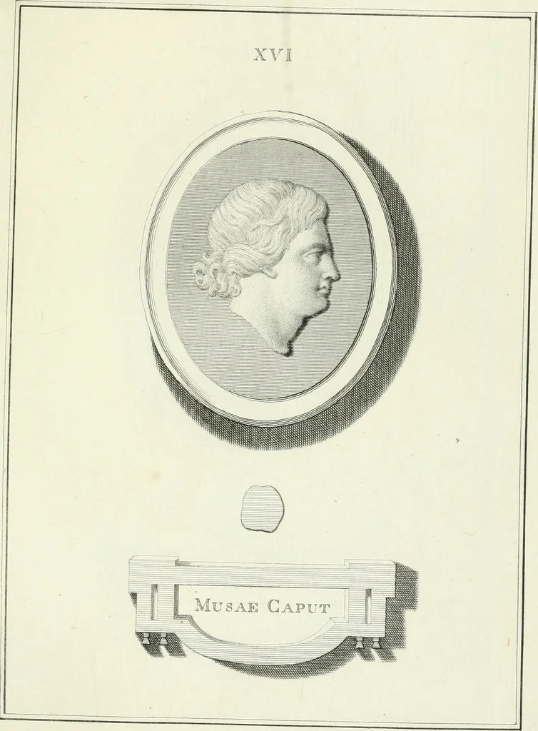 An illustration from Dactyliotheca Smithiana, 1767, leaf 466