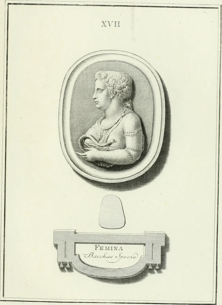 An illustration from Dactyliotheca Smithiana, 1767, leaf 468