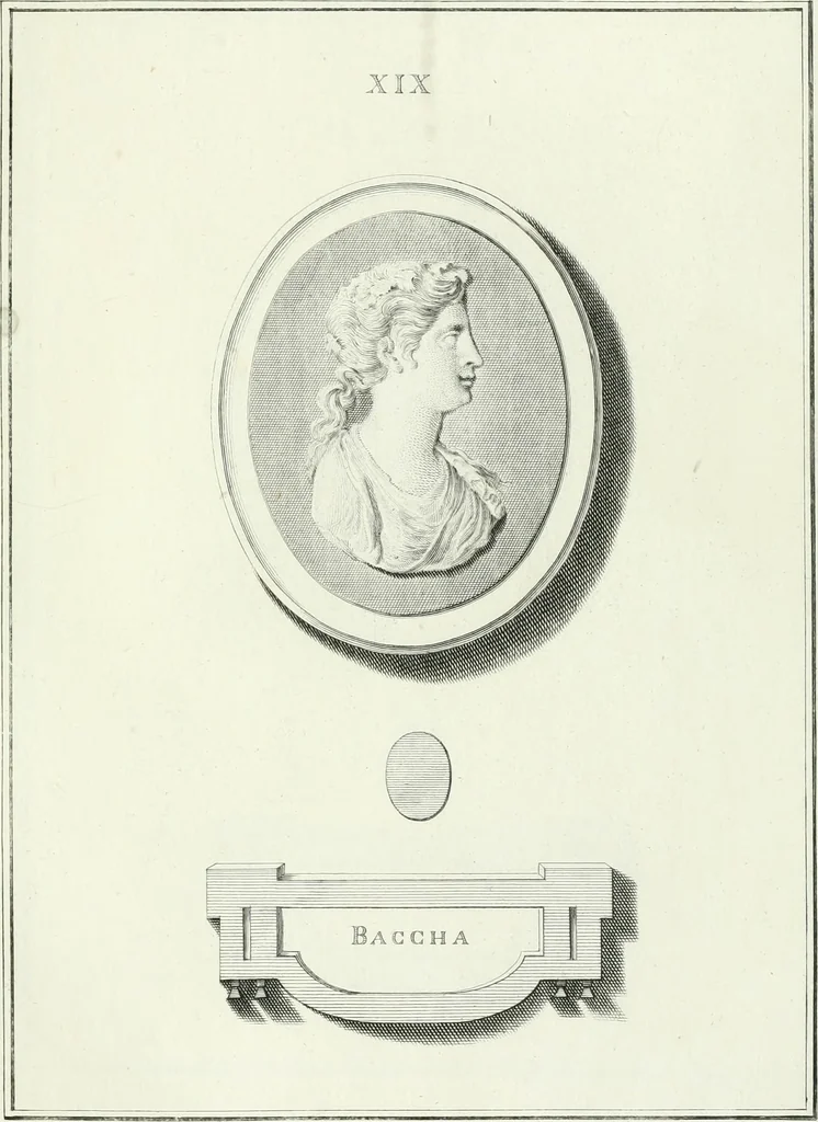 An illustration from Dactyliotheca Smithiana, 1767, leaf 472