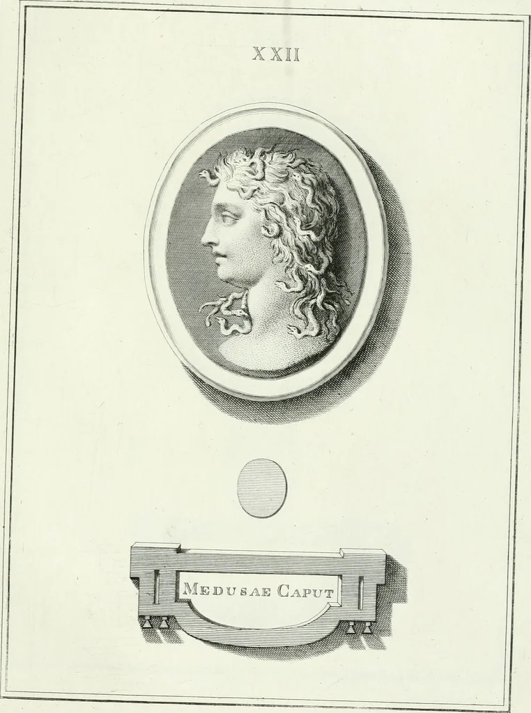 An illustration from Dactyliotheca Smithiana, 1767, leaf 478