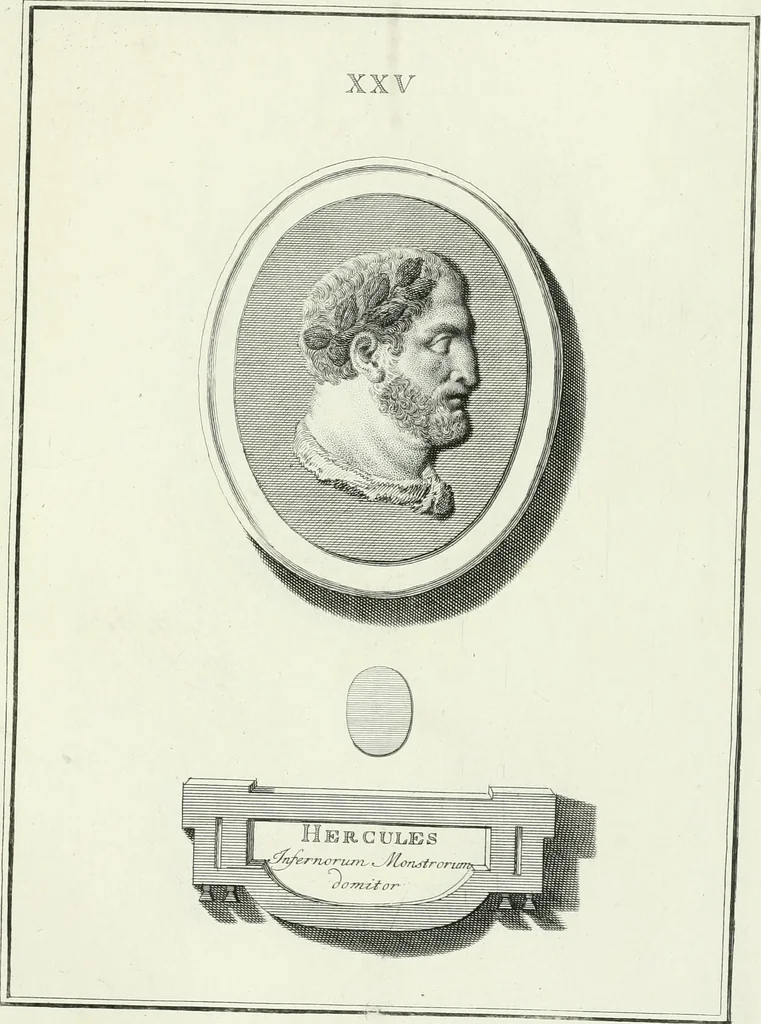 An illustration from Dactyliotheca Smithiana, 1767, leaf 484