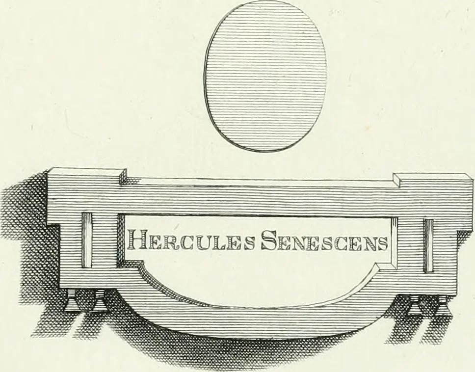 An illustration from Dactyliotheca Smithiana, 1767, leaf 490