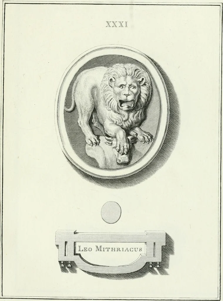 An illustration from Dactyliotheca Smithiana, 1767, leaf 496