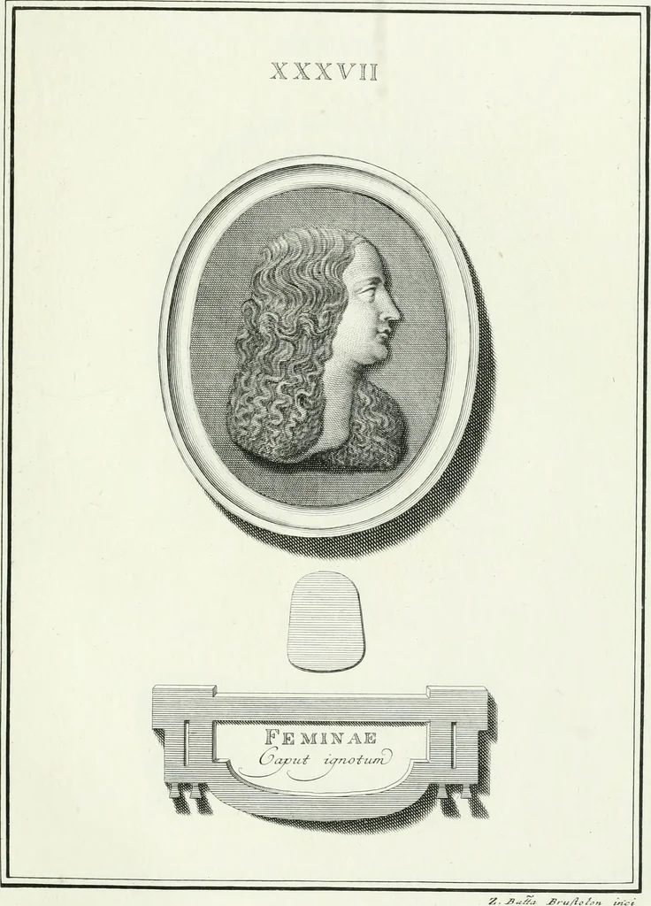 An illustration from Dactyliotheca Smithiana, 1767, leaf 508