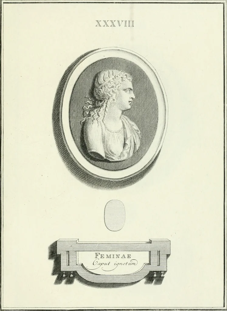 An illustration from Dactyliotheca Smithiana, 1767, leaf 510