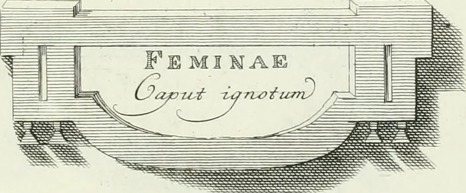 An illustration from Dactyliotheca Smithiana, 1767, leaf 512