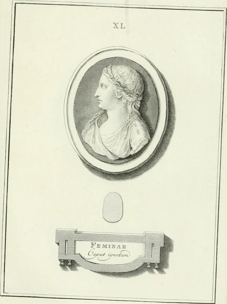 An illustration from Dactyliotheca Smithiana, 1767, leaf 514