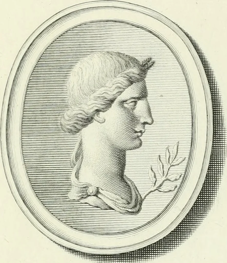 An illustration from Dactyliotheca Smithiana, 1767, leaf 516