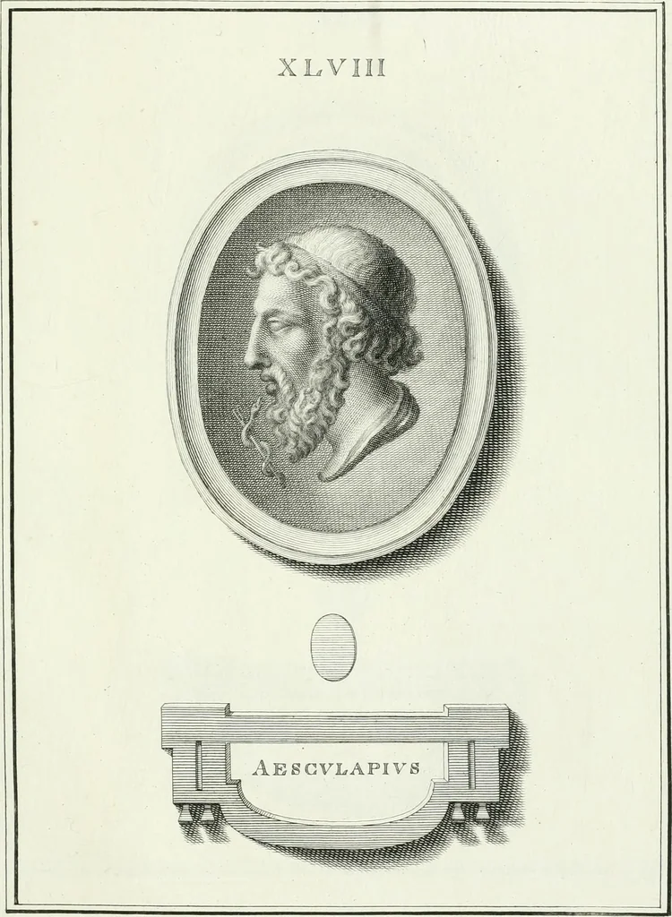 An illustration from Dactyliotheca Smithiana, 1767, leaf 530
