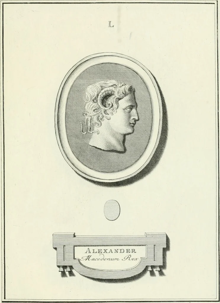 An illustration from Dactyliotheca Smithiana, 1767, leaf 534