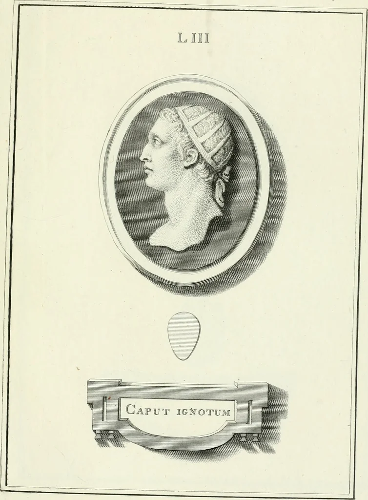 An illustration from Dactyliotheca Smithiana, 1767, leaf 540