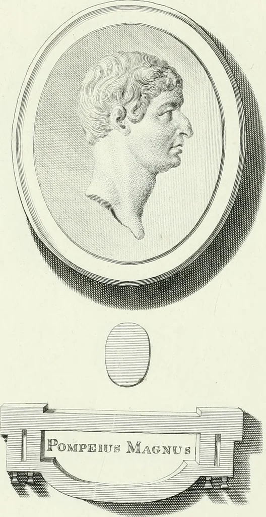 An illustration from Dactyliotheca Smithiana, 1767, leaf 550