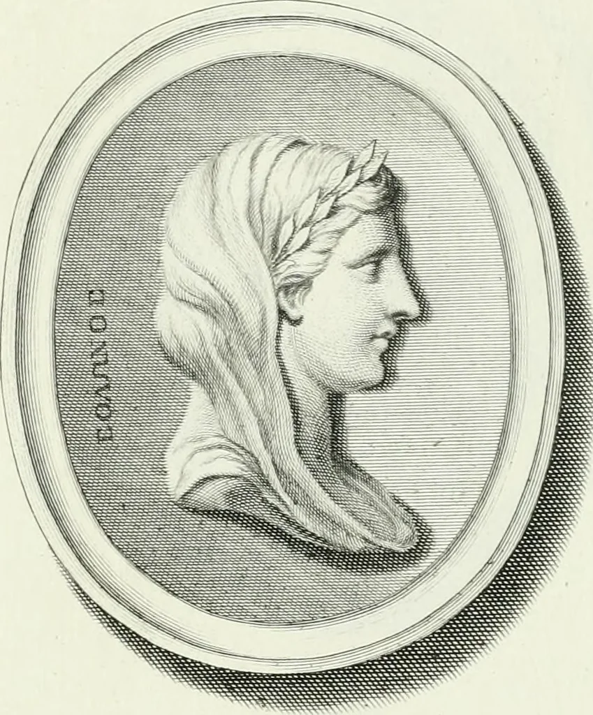 An illustration from Dactyliotheca Smithiana, 1767, leaf 558