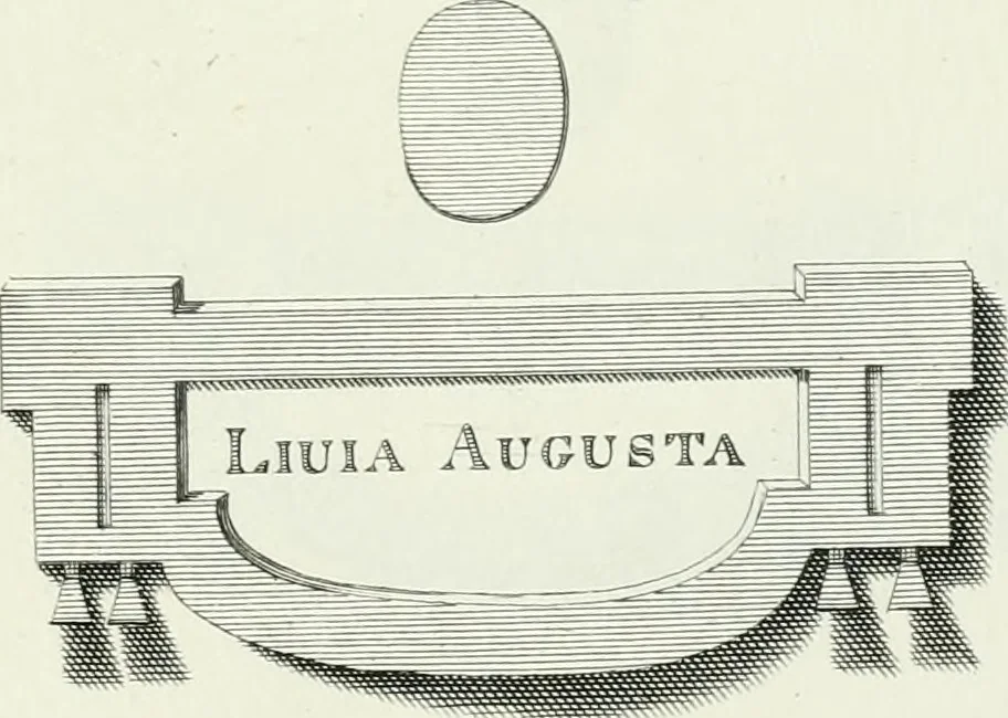 An illustration from Dactyliotheca Smithiana, 1767, leaf 558