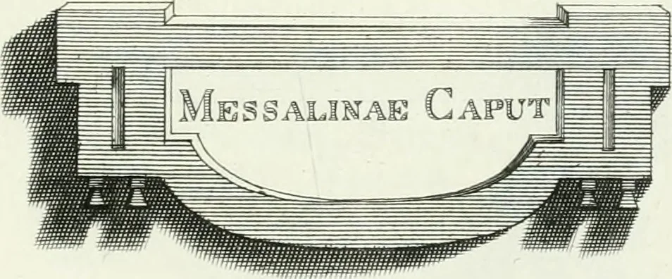 An illustration from Dactyliotheca Smithiana, 1767, leaf 572