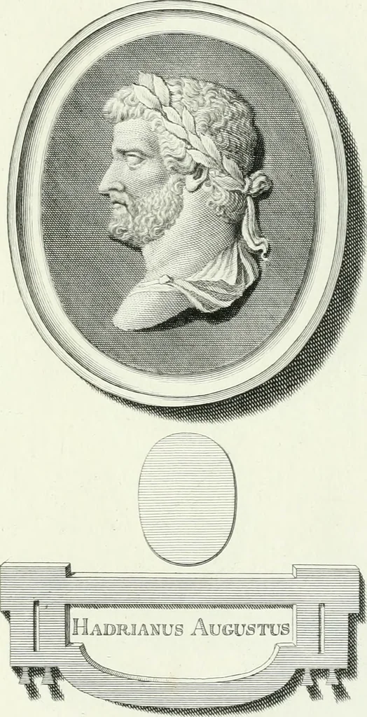 An illustration from Dactyliotheca Smithiana, 1767, leaf 590