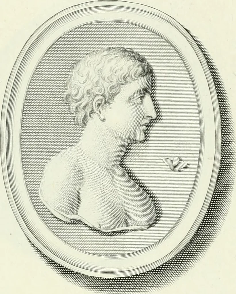 An illustration from Dactyliotheca Smithiana, 1767, leaf 600