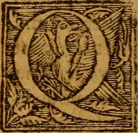 An illustration from Daemoniaci, hoc est, De obsessis a spiritibus daemoniorum hominibus liber unus : in quo daemonum obsidentium conditio, obsessorum hominum status, rationes & modi, quibus ab obsessis exiguntur ; causae item tum difficilis exitus ipsorum, tum signorum quae exituri relinquunt ... discutiuntur & explicantur, denuò omnia repurgata & aucta, 1603, leaf 281