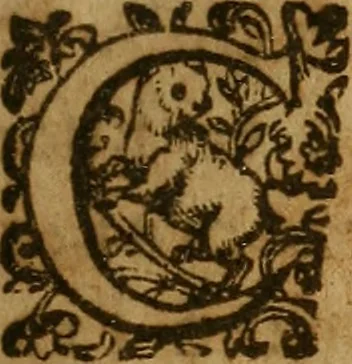 An illustration from Daemoniaci, hoc est, De obsessis a spiritibus daemoniorum hominibus liber unus : in quo daemonum obsidentium conditio, obsessorum hominum status, rationes & modi, quibus ab obsessis exiguntur ; causae item tum difficilis exitus ipsorum, tum signorum quae exituri relinquunt ... discutiuntur & explicantur, denuò omnia repurgata & aucta, 1603, leaf 4