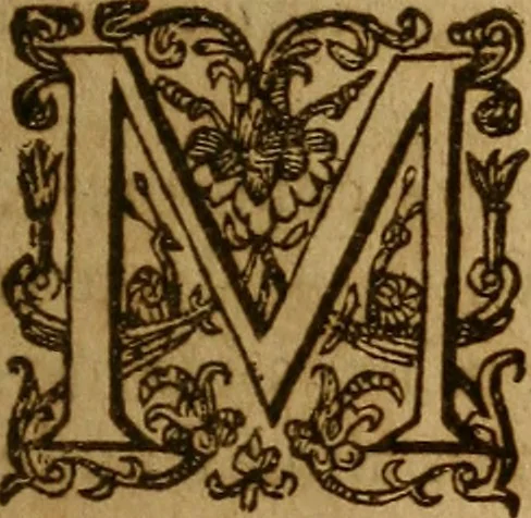An illustration from Daemoniaci, hoc est, De obsessis a spiritibus daemoniorum hominibus liber unus : in quo daemonum obsidentium conditio, obsessorum hominum status, rationes & modi, quibus ab obsessis exiguntur ; causae item tum difficilis exitus ipsorum, tum signorum quae exituri relinquunt ... discutiuntur & explicantur, denuò omnia repurgata & aucta, 1603, leaf 8