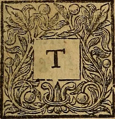 An illustration from Daemonologia sacra : or, A treatise of Satans temptations .., 1677, leaf 4