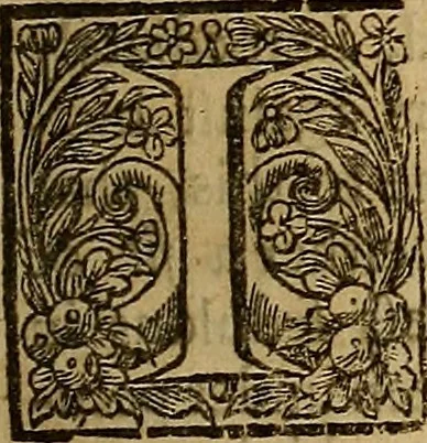 An illustration from Daemonologia sacra : or, A treatise of Satans temptations .., 1677, leaf 432