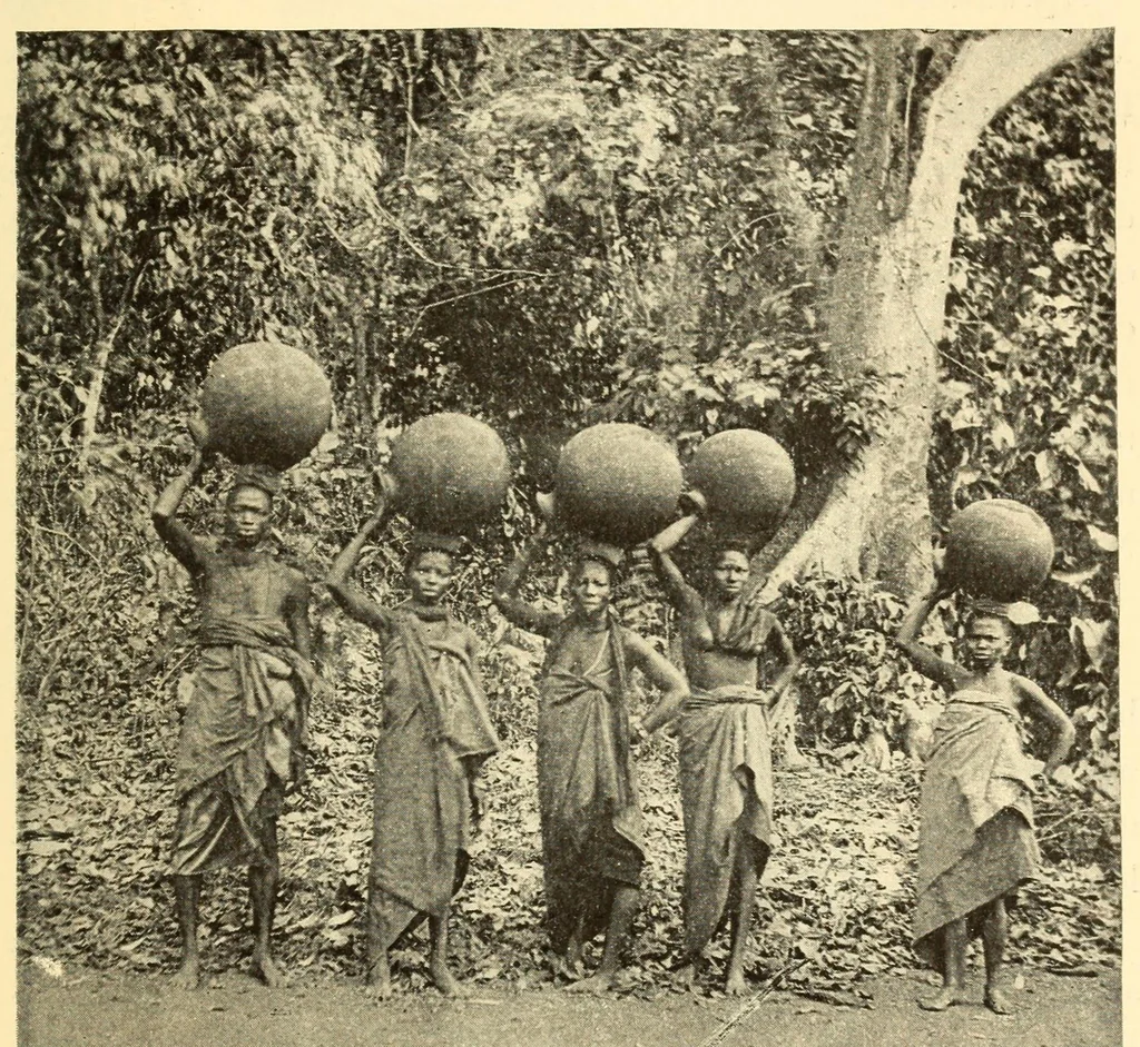 An illustration from Dahomey et dépendances : historique général, organisation, administration, ethnographie, productions, agriculture, commerce, 1900, leaf 115
