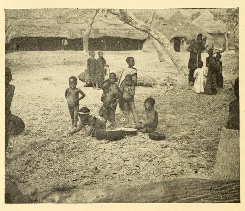 An illustration from Dahomey et dépendances : historique général, organisation, administration, ethnographie, productions, agriculture, commerce, 1900, leaf 250