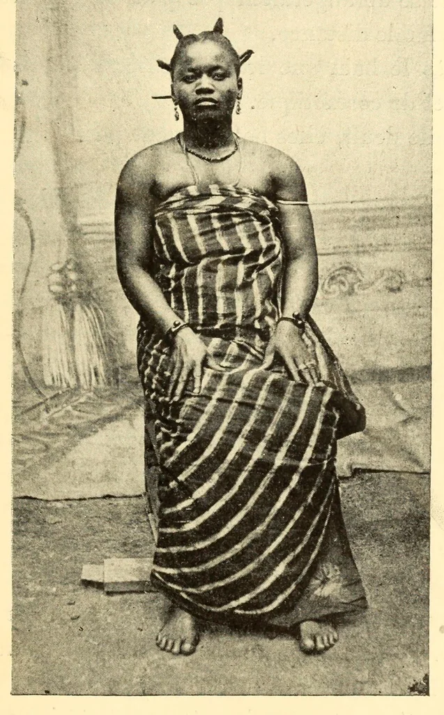An illustration from Dahomey et dépendances : historique général, organisation, administration, ethnographie, productions, agriculture, commerce, 1900, leaf 289