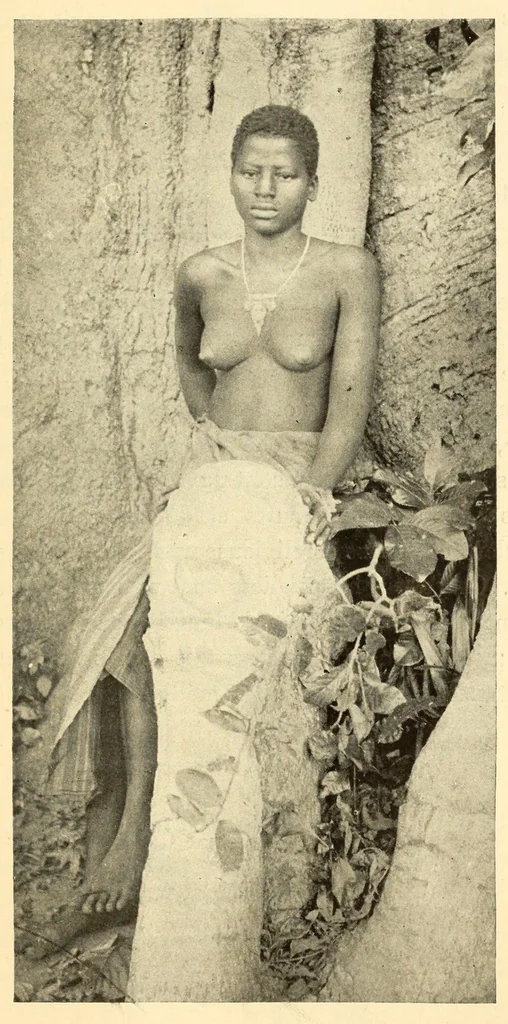 An illustration from Dahomey et dépendances : historique général, organisation, administration, ethnographie, productions, agriculture, commerce, 1900, leaf 315