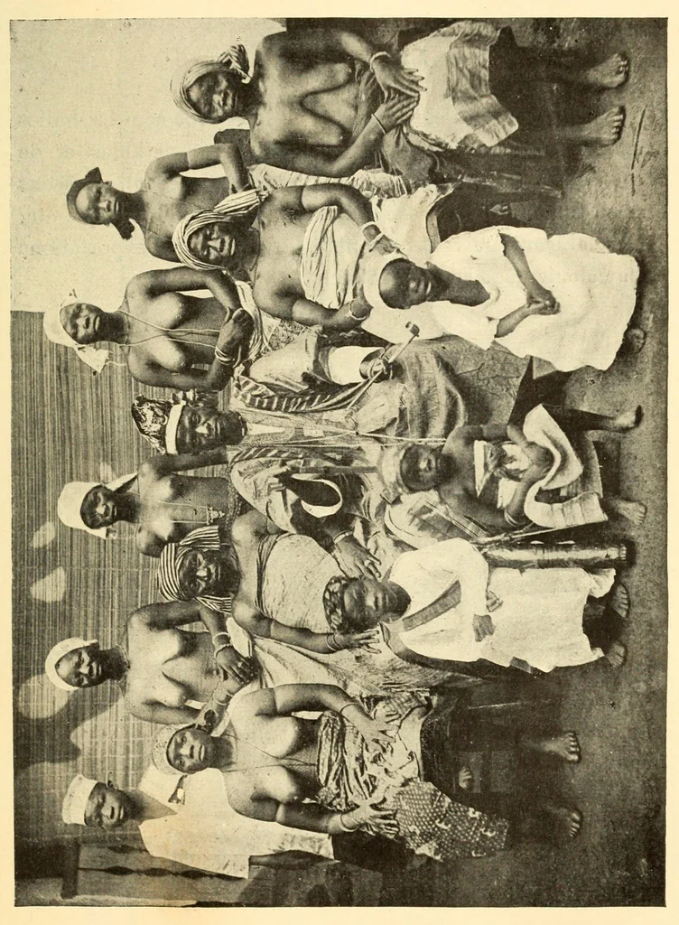An illustration from Dahomey et dépendances : historique général, organisation, administration, ethnographie, productions, agriculture, commerce, 1900, leaf 493