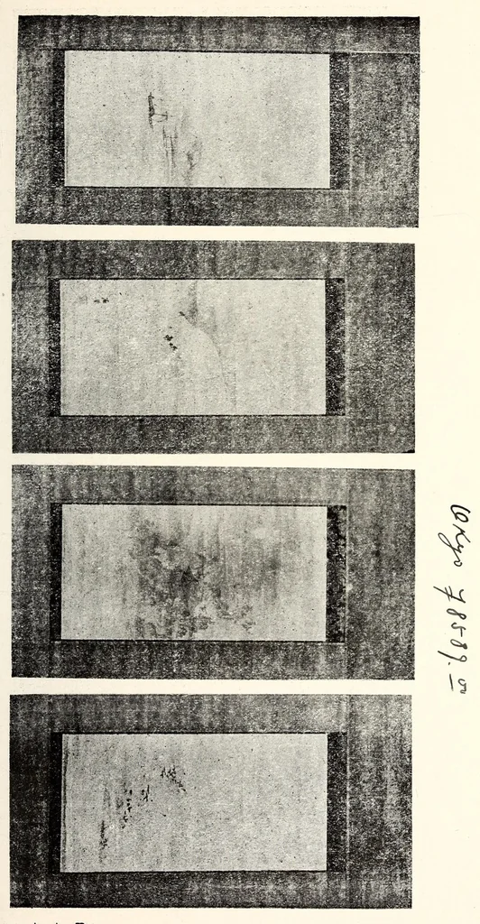 An illustration from Dai 2-kai Akaboshi-ke shozohin nyusatsu, 1917, leaf 66