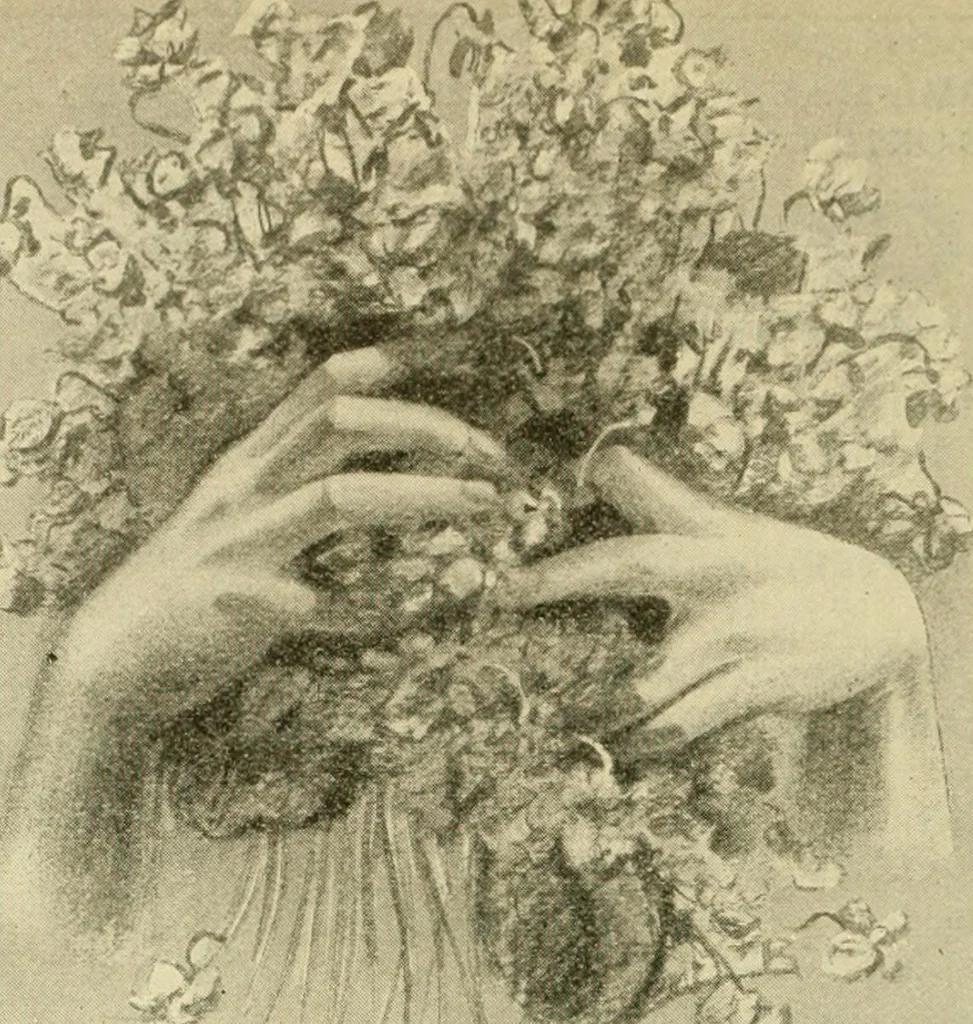An illustration from Daily attractions in New York. Advance information of art exhibitions, lectures, concerts, churches, theatres, railroads, Pullman accommodations, points of interest, where to dine, etc. .., 1906, leaf 354