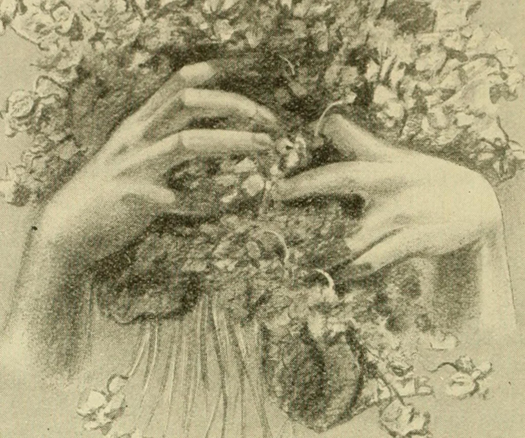 An illustration from Daily attractions in New York. Advance information of art exhibitions, lectures, concerts, churches, theatres, railroads, Pullman accommodations, points of interest, where to dine, etc. .., 1906, leaf 386
