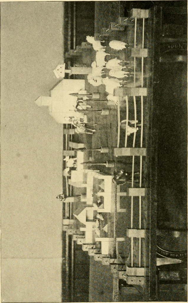 An illustration from Daily program of gift and occupation work, 1904, leaf 100