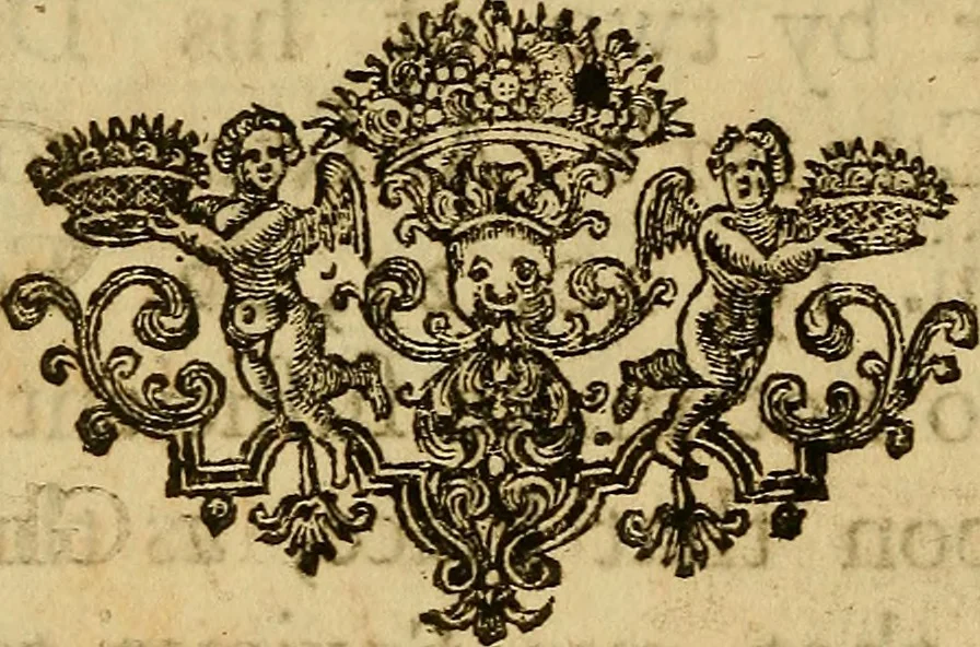 An illustration from Daimonologia, or, A treatise of spirits : Wherein several places of scripture are expounded, against the vulgar errors concerning witchcraft, apparitions, &c. To which is added, an appendix, containing some reflections on Mr. Boulton's answer to Dr. Hutchinson's Historical essay; entitled The possibility and reality of magick, sorcery and witchcraft demonstrated, 1723, leaf 17