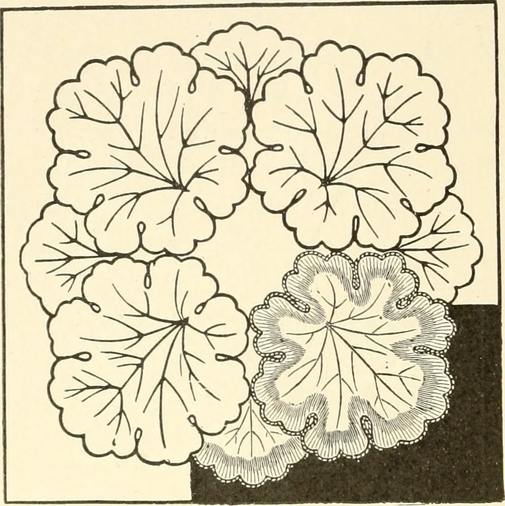 An illustration from Dainty work for pleasure and profit, 1891, leaf 107
