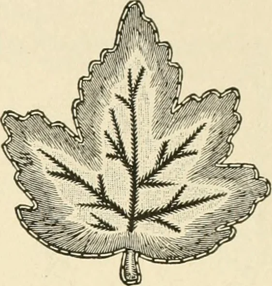 An illustration from Dainty work for pleasure and profit, 1891, leaf 108