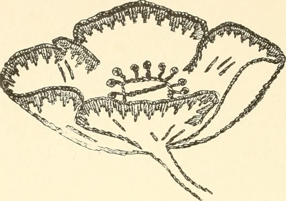 An illustration from Dainty work for pleasure and profit, 1891, leaf 115