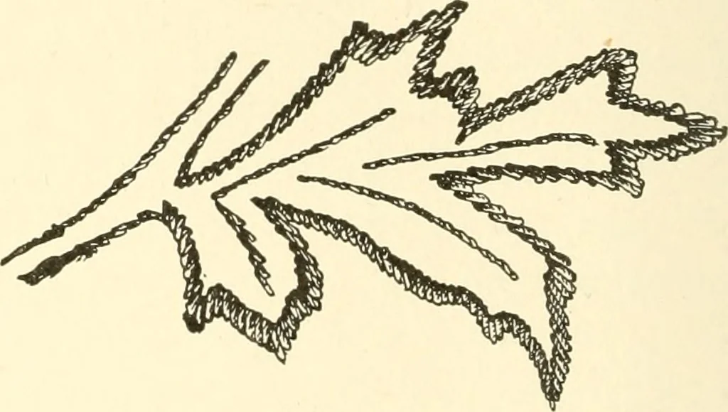 An illustration from Dainty work for pleasure and profit, 1891, leaf 115