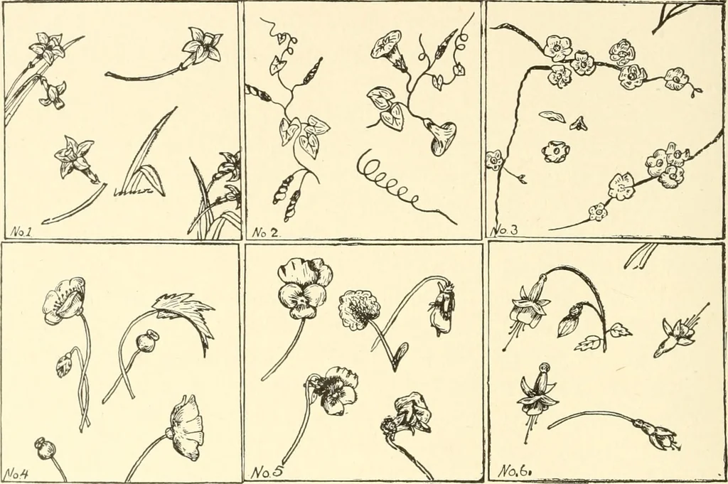 An illustration from Dainty work for pleasure and profit, 1891, leaf 123