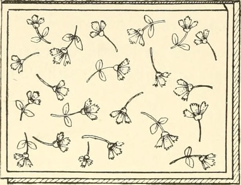 An illustration from Dainty work for pleasure and profit, 1891, leaf 129